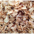fuji apple dried chips